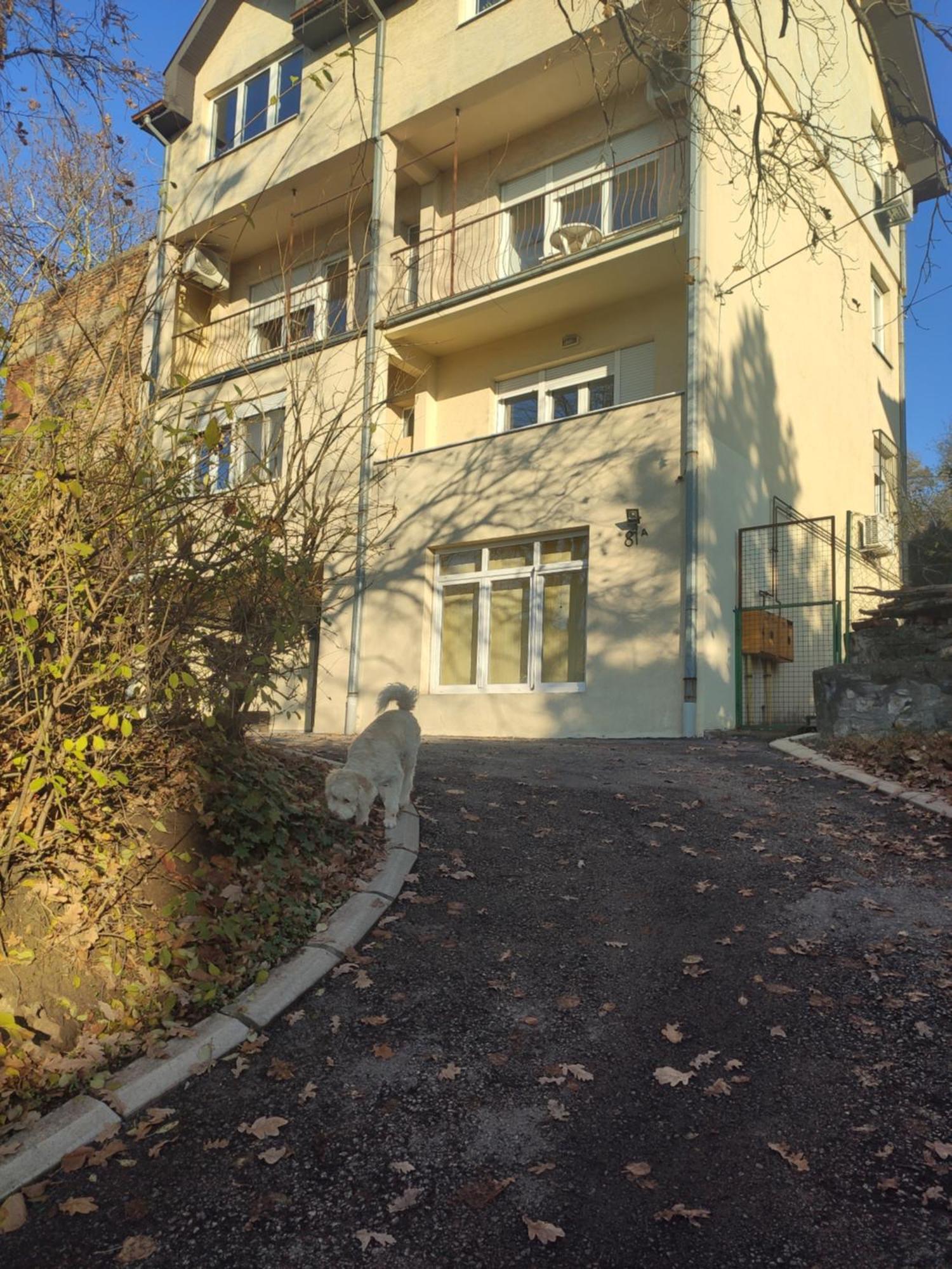 Apartment Olimp Zvezdara Belgrade